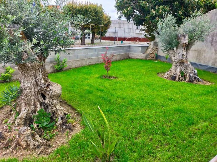 Casinha Do Rio Villa Soure Bagian luar foto